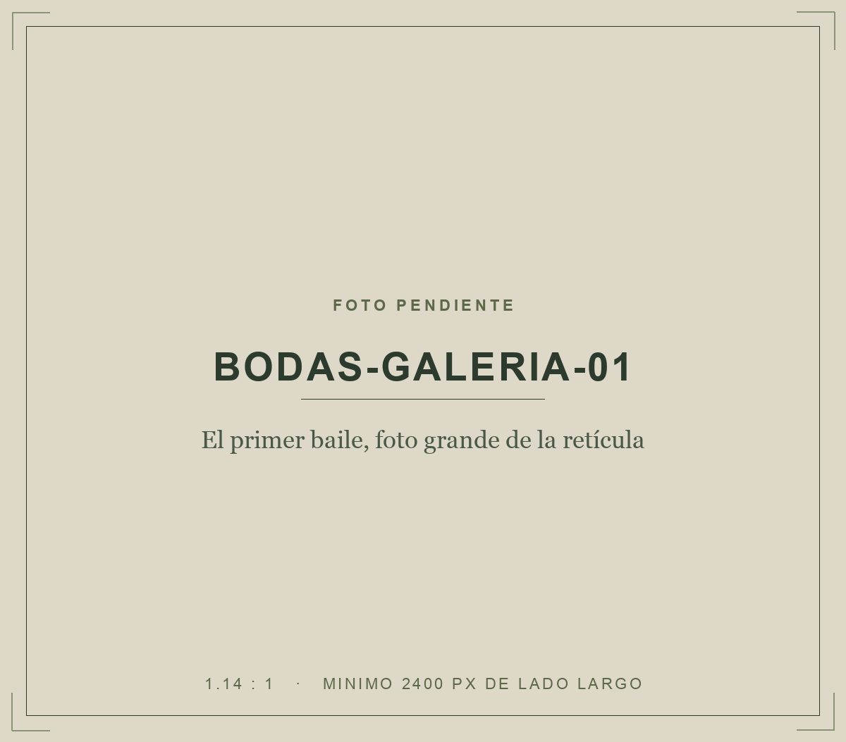 El primer baile, foto grande de la retícula