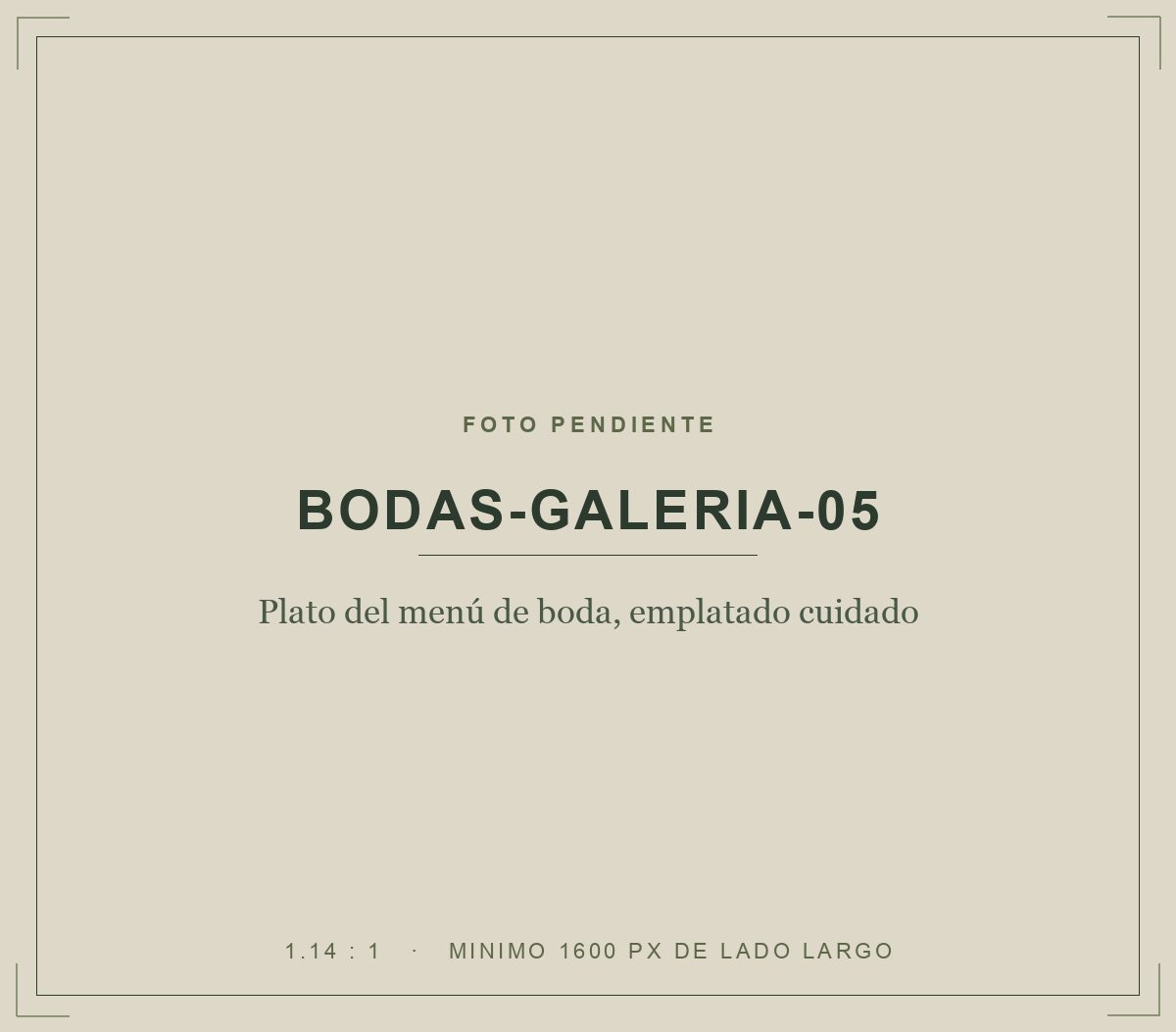 Plato del menú de boda, emplatado cuidado