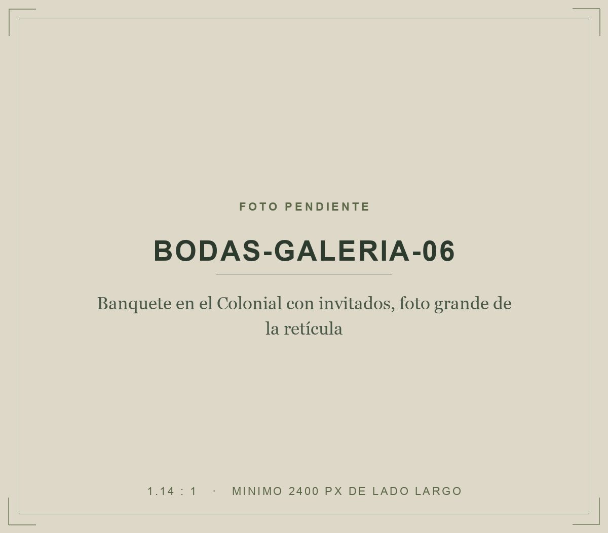 Banquete en el Colonial con invitados, foto grande de la retícula