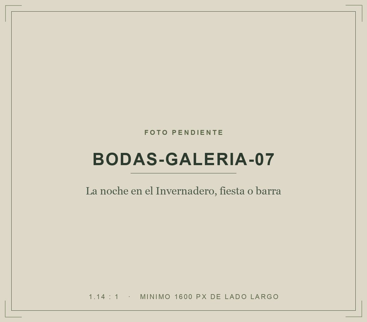 La noche en el Invernadero, fiesta o barra