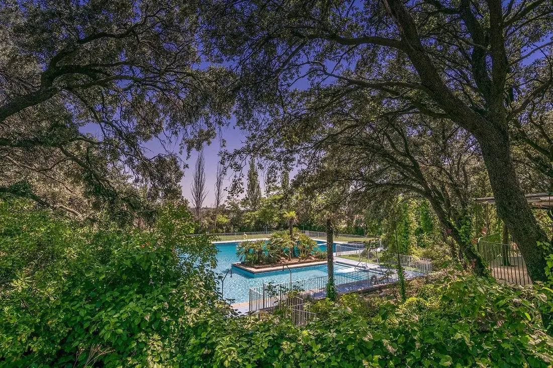La piscina de la finca rodeada de encinas