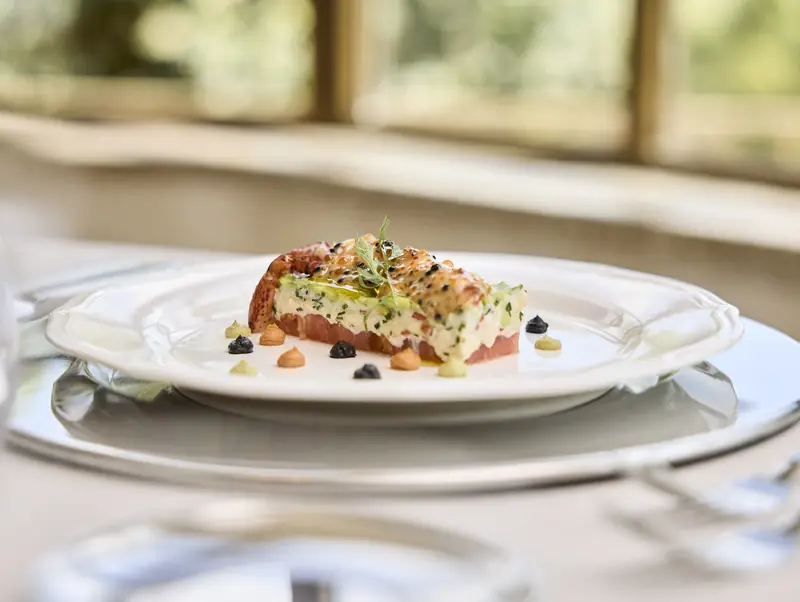 Plato de la línea Life Gourmet Catering