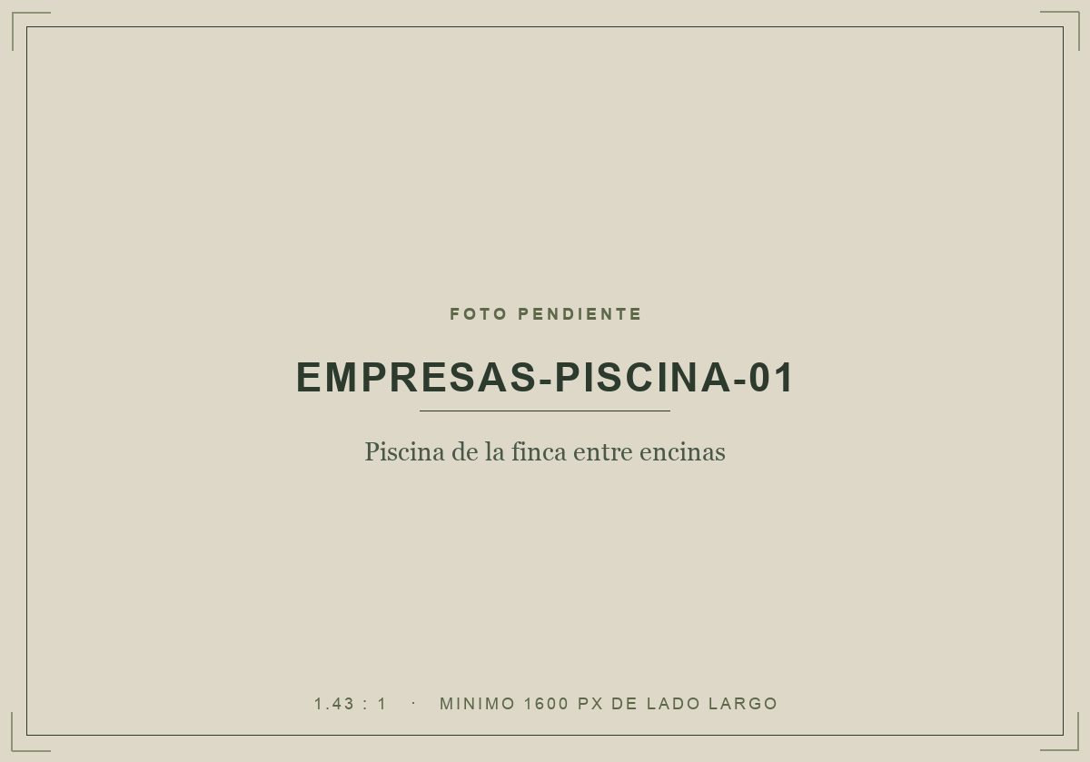 Piscina de la finca entre encinas