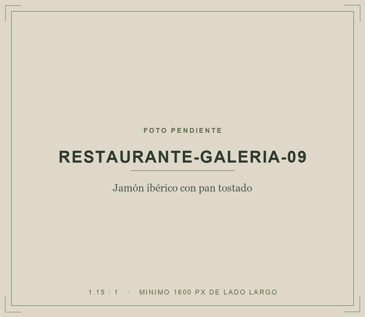 Jamón ibérico con pan tostado