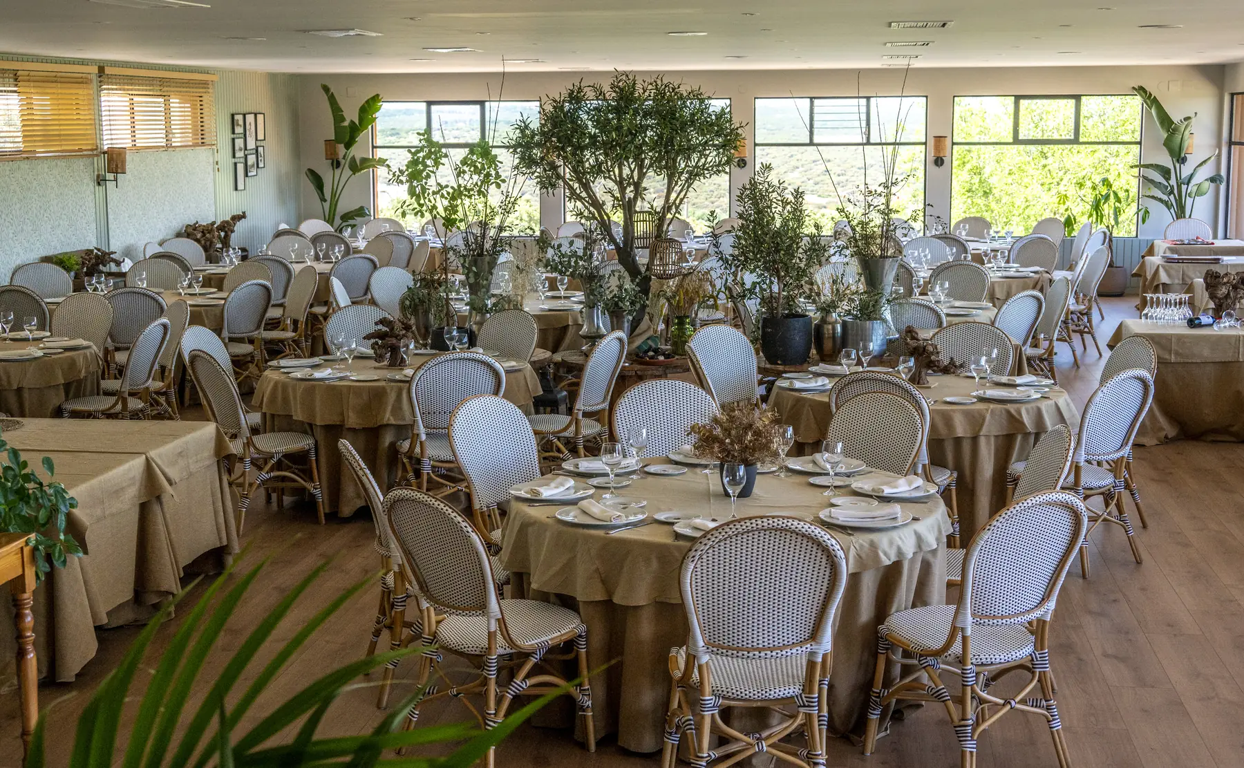 Comedor del restaurante con olivos y ventanales al monte